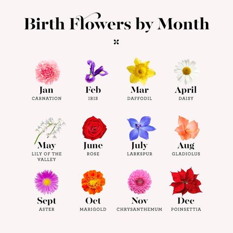 May babies, did you know your #birthflower is lily of the valley? It symbolizes sweetness and humility, too. 😌💕 Link in bio for more about… Tattoo Pulso, September Birth Flower, Birth Flower Tattoos, Month Flowers, Flower Tattoo Designs, Birth Month Flowers, Birthday Month, Little Flowers, Birth Flower