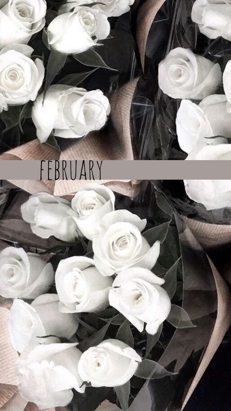 February Wallpapers, Aesthetic February, February Aesthetic, Garage Door Ideas, January Wallpaper, February Wallpaper, Valentines Wallpaper Iphone, Calendar Background, Iphone Wallpaper Sky