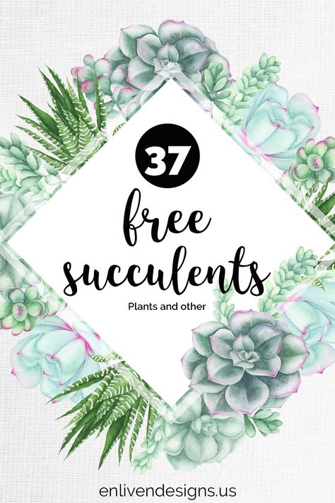 FREE Succulents Botanicals | Enliven Designs Ecse Classroom, Cameo Pro, Succulent Printable, Neutral Classroom, Succulents Illustration, Botanical Printables, Succulent Images, Succulent Decor, Plant Prints