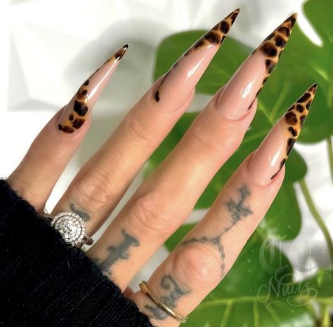 Stiletto Leopard Nails, Leopard Stiletto Nails, Ideas Nails Summer, Nails Summer Nails, Leopard Print Nails, Stiletto Nails Designs, Print Nails, Glow Nails, Dope Nail Designs