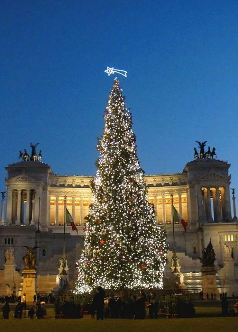 Christmas Rome Italy, Rome Christmas Aesthetic, Italy Christmas Aesthetic, Italy In Christmas, Christmas In Italy Aesthetic, Venice Christmas, Rome Christmas, Christmas Italy, Huge Christmas Tree