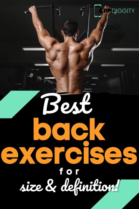 Back Exercises For Men, How To Get Muscles, Exercises To Build Muscle, Best Back Exercises, Back Workout Men, Back Strengthening Exercises, Muscular Back, Good Back Workouts, Workout Men