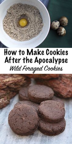 How to Make Cookies After the Apocalypse ~ Wild Foraged Cookie Recipes Survival Food Recipes, Foraged Food Recipes, Apocalypse Recipes, Wild Food Recipes, Survival Recipes, Wild Recipes, Wild Foraging, Wild Food Foraging, Foraging Recipes