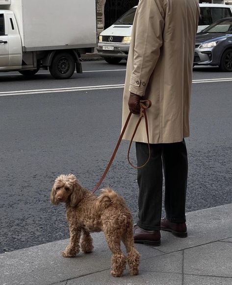 Dog Walking Aesthetic City, Dog Foto, Photos With Dog, Walking Outfits, Dog Photoshoot, City Dog, Nyc Aesthetic, Dog Branding, Dog Photograph