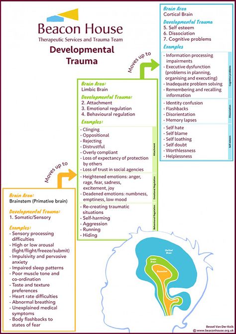 The Repair of Early Trauma: A “Bottom Up” Approach | Chosen Care Bessel Van Der Kolk, Psychology Posters, Nervus Vagus, Co-parenting, Psychology Memes, Beacon House, Therapy Business, Communication Activities, Psychology Notes