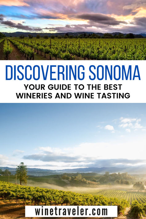 Embark on a remarkable wine journey through Sonoma Valley! This guide will lead you to the best wineries in Sonoma, recommend exclusive wine tours, sought-after restaurants, and cozy hotels. Unearth the wealth of grape variants, soak in the beautiful landscapes, and immerse in the unique Sonoma lifestyle. Your unforgettable wine escapade is in here! Best Wineries In Sonoma, Sonoma Wine Tours, Wine Tasting Guide, Sonoma Wineries, Wine Tourism, Wine Education, Sonoma Valley, Wine Country California, Beautiful Patios