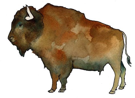 Buffalo Watercolor Painting, Bison Watercolor Painting, Buffalo Illustration, Bison Watercolor, Bison Painting, Watercolor Buffalo, Cabin Artwork, Buffalo Pattern, Deer Skull Art