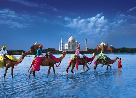 India تاج محل, Travel List, Future Travel, Best Places To Travel, Incredible India, Dream Destinations, Places Around The World, Kolkata, Goa