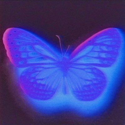 Butterfly Pfp Aesthetic, Photographie Indie, Y2k Background, Sensory Art, Aura Colors, Photo Wall Collage, Art Collage Wall, Picture Collage, Ethereal Art