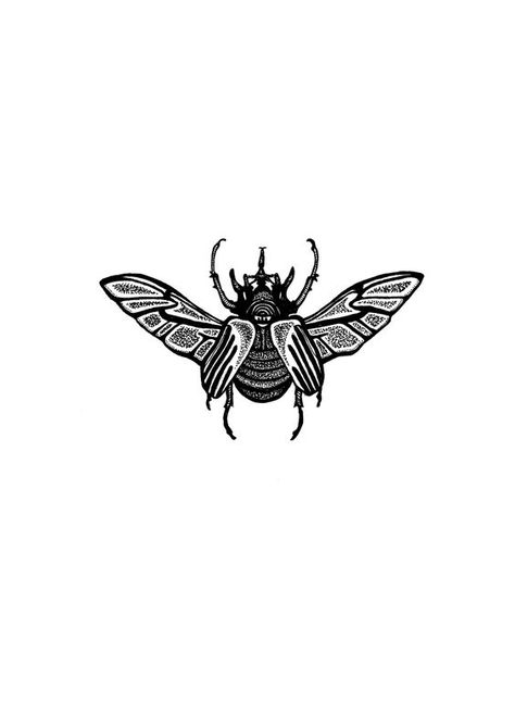 Beetle tattoo design Small Scarab Beetle Tattoo, Beatle Tattoo Insect Simple, Beatle Tattoo Design, Scarab Beetle Tattoo Design, Beetles Tattoo, Bug Tattoo Design, Insect Tattoo Design, Beetle Tattoo Design, Tattoo Beetle