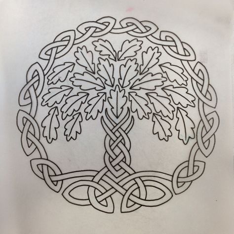 stencil of my new celtic Oak tree tattoo by Ben Harper @ The Golden Rose in San Francisco Celtic Oak Tree, Pinecone Tattoo, Oak Leaf Tattoos, Celtic Tree Tattoos, Acorn Tattoo, Poppy Flower Tattoo, Oak Tree Tattoo, Celtic Knot Tattoo, Ben Harper