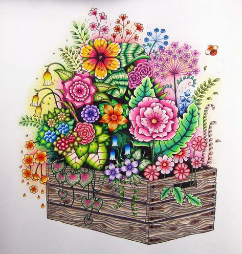 Box Of Flowers, Joanna Basford Coloring, Joanna Basford, World Of Flowers, Johanna Basford Coloring Book, Coloring Tips, Basford Coloring, Johanna Basford Coloring, Johanna Basford