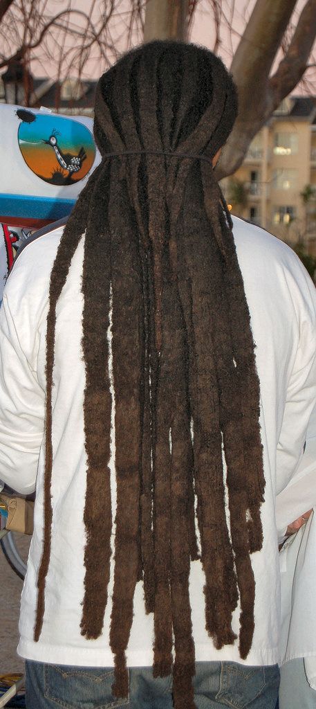 Natty Dread Congo Bongo/Fat Dreads Free Form Locs, Freeform Dreads, Dreadlock Rasta, Loc Care, Afro Hairstyles Men, Dread Heads, Hair Man, Twisted Hair, Dreadlock Hairstyles For Men