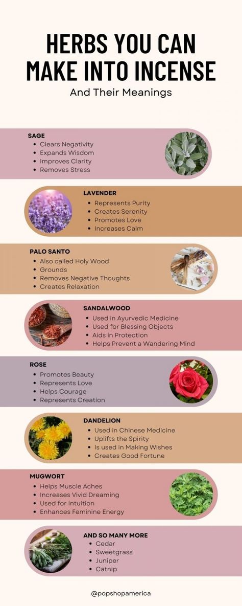 herbs that you can burn as incense Herbs For Candles, Incense Types And Uses, Incense Blend Recipes, How To Make Homemade Incense, How To Make Cone Incense, Best Incense Scents, Homemade Incense Cones, Incense Recipes Diy, Incense Scents And Meanings