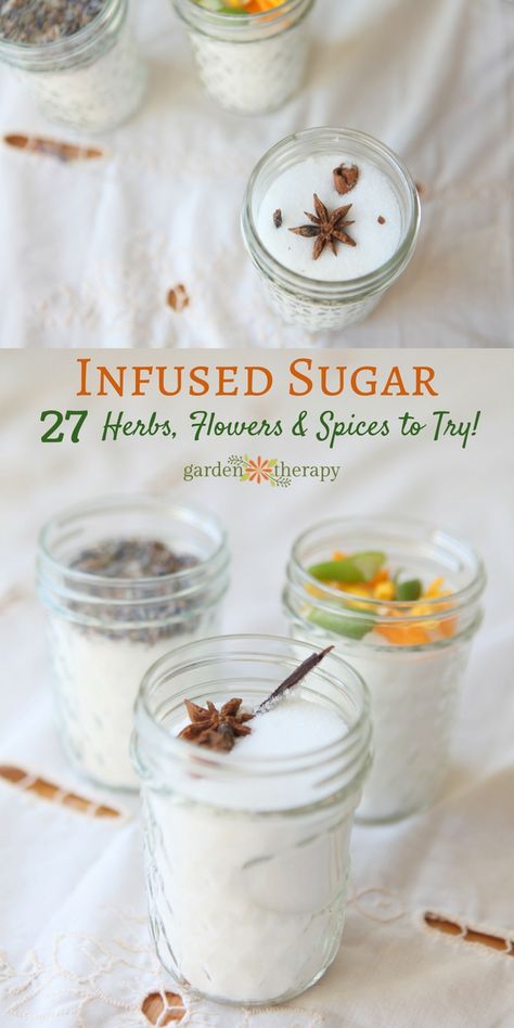 Infused Salt, Homemade Gift Idea, Infused Sugar, Plat Vegan, Sugar Recipes, Flavored Salts, Diy Spices, Flavored Sugar, No Salt Recipes