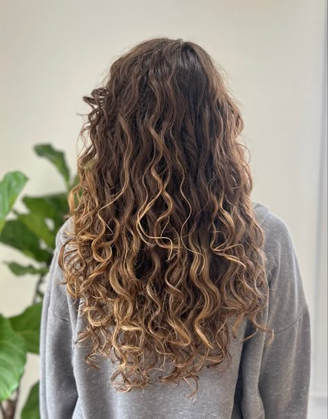 Highlights On Light Brown Hair Curly, Face Framing Haircuts For Curly Hair, 2c Hair With Highlights, 2c Curly Hair Balayage, Brunette Balayage Hair Natural Curls, Natural Balayage Curly Hair, Wavy Brown Hair With Blonde Highlights, 2b Hair Highlights, Blonde Balayage On Brown Hair Curly