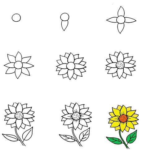 How To Draw A Sunflower Step-By-Step In Best Way 1 How To Draw A Sunflower Step By Step, How To Draw A Sunflower, Draw A Sunflower, Trin For Trin Tegning, Drawing Stand, Lol Coloring Pages, Lol Coloring, Sun Drawing, Flower Step By Step