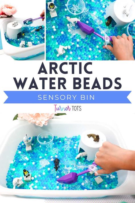 Creating an Arctic themed sensory bin is as easy as 1-2-3! First, fill your sensory bin with water beads to create a cool Arctic effect. We used blue and white to make an icy scene! Then, add Arctic animals, fine motor tongs, and an igloo to finish off your frigid Arctic sensory bin. Third, invite your preschoolers to join in on the Arctic fun! This water bead sensory activity will be requested all year long! Arctic Animals Sensory Bin, Arctic Animal Sensory Bin, Winter Fine Motor Activities, Winter Fine Motor, Polar Animals Preschool, Arctic Animals Preschool, Playdough Creations, Play Dough Invitation, Winter Sensory