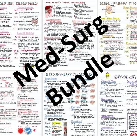 Dysrhythmias Nursing, Med Surg Nursing Cheat Sheets, Lpn Notes, Medicine Shelf, Nursing Organization, Nursing Anatomy, Future Surgeon, Nurse Hacks, Lpn School