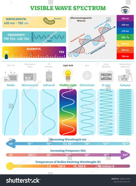 Electromagnetic Waves: Visible Wave Spectrum. Vector illustration diagram with wavelength, frequency, harmfulness and wave structure. Science educational information. Info poster. #Ad , #spon, #illustration#Vector#wavelength#diagram Risks Of Long Exposure To Electromagnetic Waves, Stationary Waves Physics, Electricity Basics, Waves Science, Info Poster, Wave Function, Fourth Grade Science, Physics Lessons, Physics Concepts