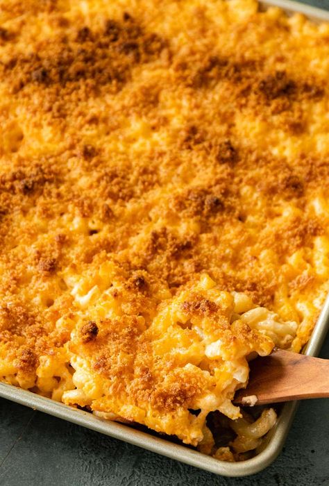 Sheet Pan Mac and Cheese is the perfect creamy recipe with cheddar cheese, American cheese, mustard, hot sauce, and a crispy cracker topping. Sheet Pan Mac And Cheese, Pan Mac And Cheese, Easy Party Foods, Cheese Recipes Dinner, Appetizer Recipes Easy, Cheddar Cheese Recipes, Easy Mac N Cheese, Cracker Toppings, Chili Mac And Cheese