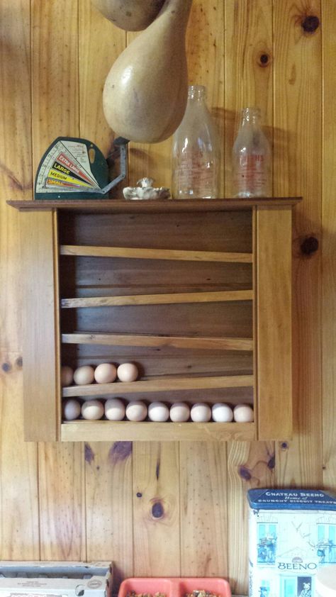 Wall Mount Egg Storage, Egg Storage Ideas, Egg Shelf, Egg Skelter, Egg Dispenser, Egg Organizer, Best Laying Chickens, Future Farmhouse, Laying Chickens Breeds