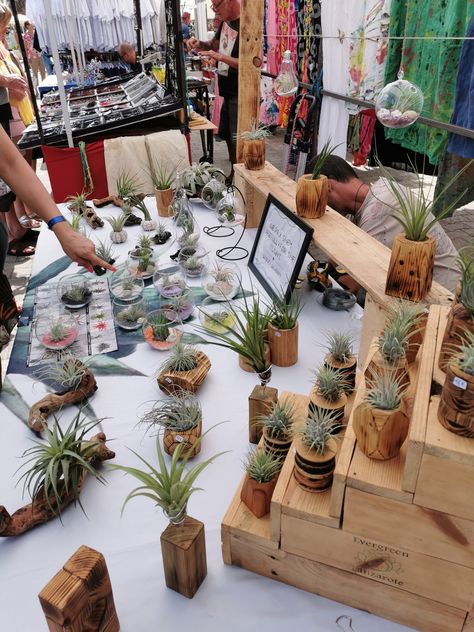 Our Tillandsia market stall #tillandsia #airplants #canaryislands #lanzarote #marketstall #handmade #evergreenlanzarote Plant Market Display, Plant Bussines Idea, Plant Market Stall Ideas, Plant Stall Ideas, Boho Market Stall, Farmers Market Plant Display, Boho Market Display, Plant Market Stall, Cute Market Stall