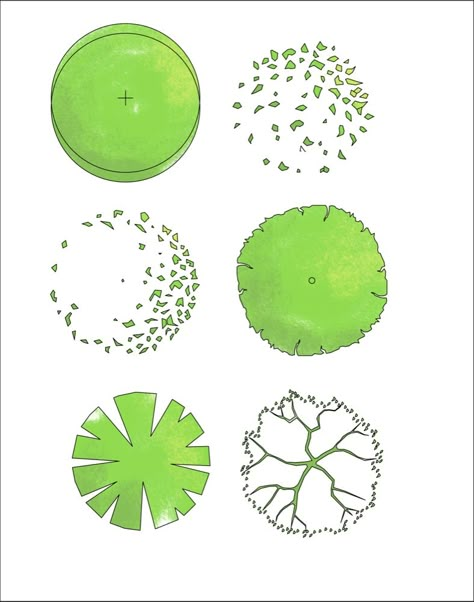 We thought you might like these colour plans of trees in different seasons that we made! Really useful to drop into a site plan Architectural Trees, Photoshop Landscape, Photoshop Png, Tree Plan, Summer Trees, Color Plan, Landscape Sketch, Vector Trees, Architecture Graphics