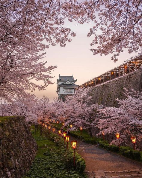 📸Photo of the day A moment captured that will never age #livinginjapan #japan #japantravel #japantravelguide #japantravelphoto #japantrip #japantraveller #travel #traveller #sightseeing #sightseeingjapan #beautifuljapan #beautiful #beauty #kyoto #kyotojapan #kyototrip #osaka #osakajapan #tokyo #tokyojapan #sakura #cherryblossoms Japan Village, Japanese Countryside, Japan Cherry Blossom, Living In Japan, Cherry Blossom Japan, Japan Sakura, Japan Life, Blossom Season, Scenery Photos