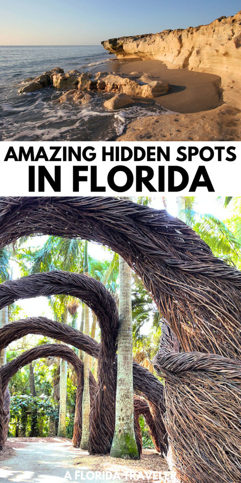 Want to visit some of the lesser known hidden gems in Florida? These amazing spots are sure to impress and are some of the best places to visit in Florida. Florida Adventures Bucket Lists, Things To Do Central Florida, Unique Places In Florida, Florida Must See Places, Cool Places To Visit In Florida, Things To Do In South Florida, Best Places To Visit In Florida, Florida Places To Visit, Hidden Gems In Florida