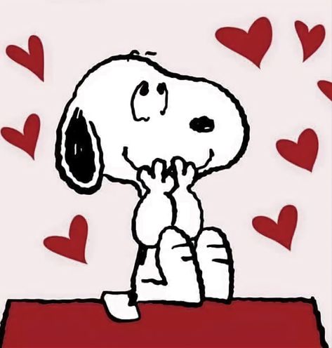 Snoopy Valentine, Snoopy Dog, Happy February, Snoopy Wallpaper, Snoopy Pictures, Snoop Dog, Snoopy Love, Charlie Brown And Snoopy, Arte Inspo