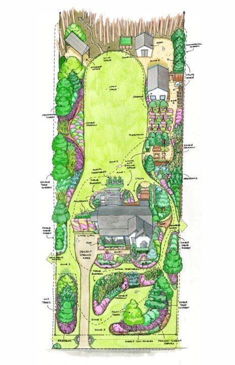 Homestead Layout, Island Farmhouse, Garden Plan, Garden Design Plans, Edible Landscaping, Landscape Plans, Garden Layout, Edible Garden, Backyard Landscaping Designs