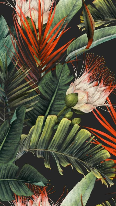 Tropical Flowers Illustration, الفن الرقمي, Paintings Modern, Jungle Art, Plant Painting, Paper Painting, Tropical Art, Beginner Painting, 판타지 아트