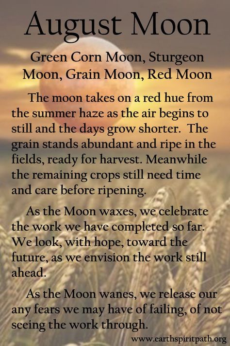 Moon Practice, August Full Moon, Full Moon Names, Corn Moon, Moon Madness, Moon Chart, August Moon, Sturgeon Moon, Moon Meaning