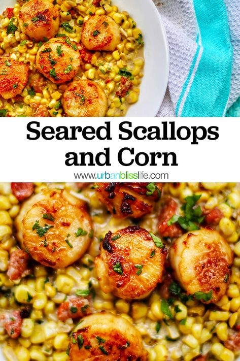 This Seared Scallops dish is on a bed of corn with Filipino longanisa sausage. A little sweet, a lot of savory, and absolutely positively DELICIOUS! A beautiful, elegant, restaurant-style dinner you can cook at home. Recipe on UrbanBlissLife.com Scallops And Corn Recipes, Scallops With Corn, Rice And Corn Recipe, Pescatarian Dishes, Corn Succotash, Scalloped Corn, Scallop Dishes, Garlic Fried Rice, Bbq Shrimp