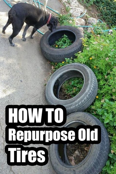 Recycled Tyres Garden, Repurpose Old Tires, Tires Diy, Recycled Tyres, Repurposed Tire, Garden Ideas Diy, Reuse Old Tires, Tire Craft, Car Parts Decor