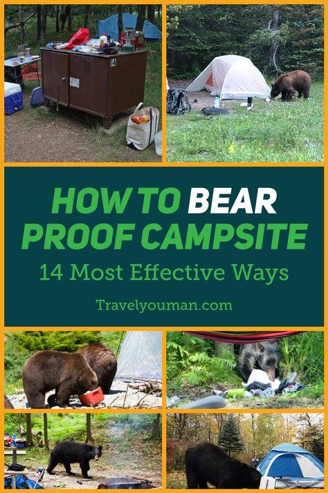 Bear Proof Camping, Packing For Camping, Banff Trip, Bear Safety Camping, Glam Camping, Bear Safety, Summertime Madness, Nomadic Life, Camping Usa