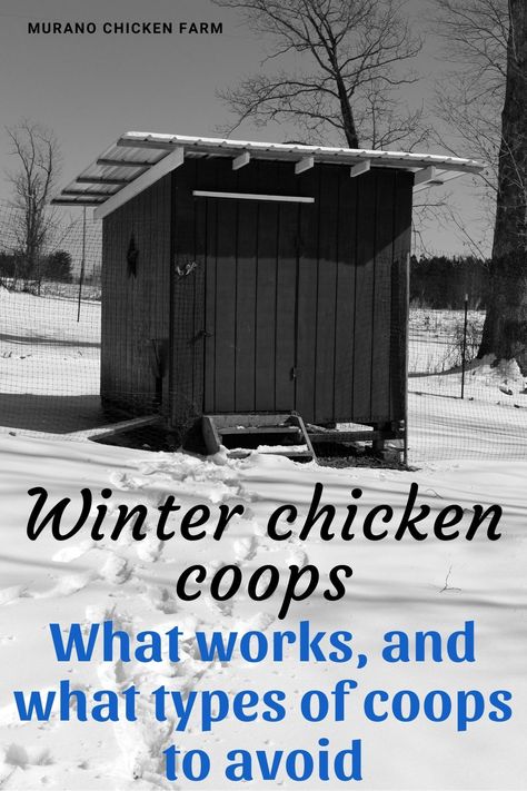 Diy Chicken Coop Cold Weather, Chicken Coops Off The Ground, Alaska Chicken Coop, Chicken Coop Winter Cold Weather, Chicken Coop Designs For Cold Weather, Midwest Chicken Coop, Chicken Coop Cold Climate, Cold Climate Chicken Coop Designs, Wisconsin Chicken Coop