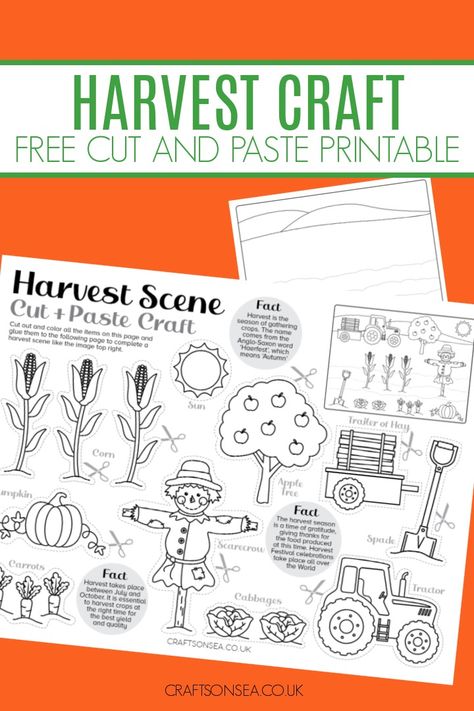 Harvest Craft Printable (FREE PDF) Harvest Craft For Preschoolers, Fall Harvest Art For Preschool, Harvest Worksheets Preschool, Harvest Ideas For Preschoolers, November Crafts For Kids Free Printable, Harvest Preschool Theme, Agriculture Activities For Kids, Fall Printables Free Preschool, Harvest Activities Preschool