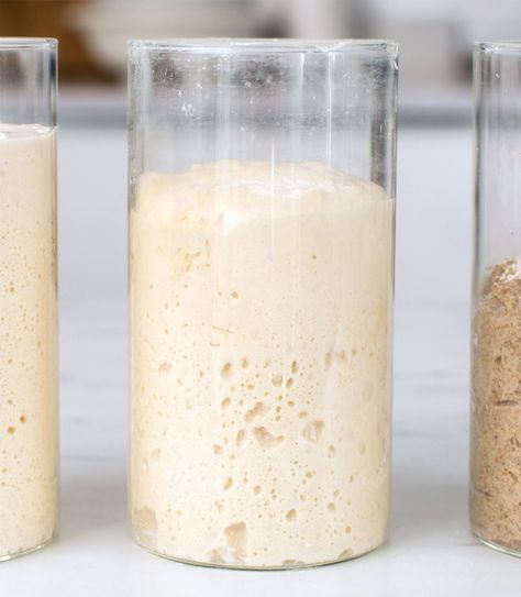 Sourdough Starter Recipe | King Arthur Baking Make Sourdough Starter, Sourdough Starter From Scratch, Earth Food, Dough Starter, Sourdough Bread Starter, Starter Recipe, Bread Starter, Sourdough Starter Recipe, Wild Yeast