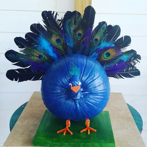 Crislyn's peacock pumpkin for the contest at school :) Peacock Pumpkin, Pumpkin Decorating Diy, Halloween Pumpkin Crafts, Creative Pumpkin Painting, Creative Pumpkin Decorating, Character Pumpkins, Pumpkin Carving Contest, Pumpkin Decorating Contest, No Carve Pumpkin Decorating