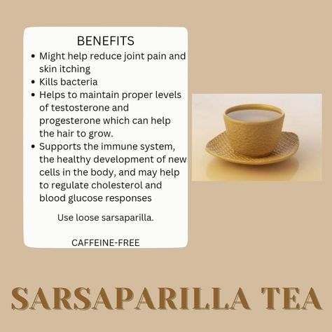 Benefits Of Sarsaparilla, Sassafras Tea Benefits, Sasparilla Root Tea Benefits, Mullen Tea Benefits, Sarsaparilla Root Benefits, Assam Tea Benefits, Clove Tea Benefits, Sarsaparilla Benefits, Linden Tea Benefits