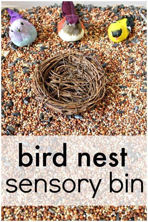 Bird Sensory Bin, Toddler Sensory Bins, Sensory Tubs, Animal Art Projects, Bird Nests, Toddler Sensory, Sensory Boxes, Spring Preschool, Sensory Table