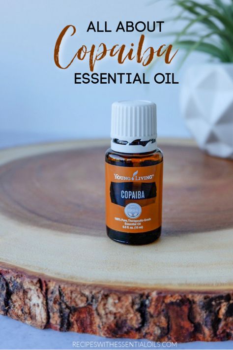 Cedarwood Essential Oil Young Living, Young Living Copaiba, Copaiba Oil, Essential Oil Usage, Copaiba Essential Oil, Essential Oils For Face, List Of Essential Oils, Oils For Sleep, Making Essential Oils