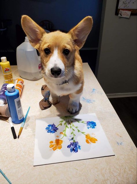 Dog Paw Painting Ideas, Dog Arts And Crafts, Paw Painting Dog Art, Dog Paw Art, Dog Paw Print Art, Paw Print Art, Paw Painting, Paw Art, Basenji Dogs