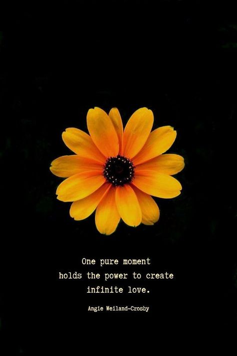 Soul Quotes Love, Flower With Quotes, Pure Soul Quotes, Quotes On Flowers, Yellow Flower Quotes, Best Moments Quotes, Pure Quotes, Flower Quotes Love, Flower Quotes Inspirational