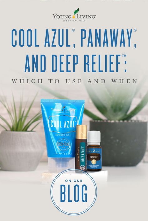 Want to find out if you need Cool Azul, PanAway, or Deep Relief? Embrace the cooling sensations of these blends and understand their differences here. #yleo #essentialoils Panaway Essential Oil, Suburban Homestead, Young Living Recipes, Essential Oil Remedy, Young Living Essential Oils Recipes, Yl Oils, Essential Oils Guide, Deep Relief, Oil Remedies