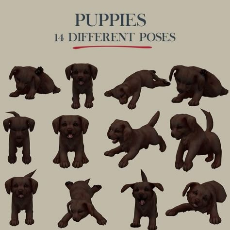 Leo 4 Sims: Puppies • Sims 4 Downloads Sims 4 Leo Sims, Sims 4 Dog, Sims 4 Pets Mod, Leo Sims, Aesthetic Sims, Sims Pets, Puppy Pose, Sims 3 Mods, Sims 4 Family