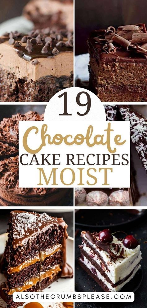 Get inspired by 19 easy chocolate cake recipes. Each cake offers a unique twist on classic flavors, making them perfect for any celebration or casual treat. Unique Chocolate Cake, Easy Chocolate Cake Recipes, Cake Recipes Moist, Dark Chocolate Cake Recipes, Craving Chocolate, Chocolate Desserts Cake, Chocolate Cake Recipes, Chocolate Cake Recipe Moist, Amazing Chocolate Cake Recipe