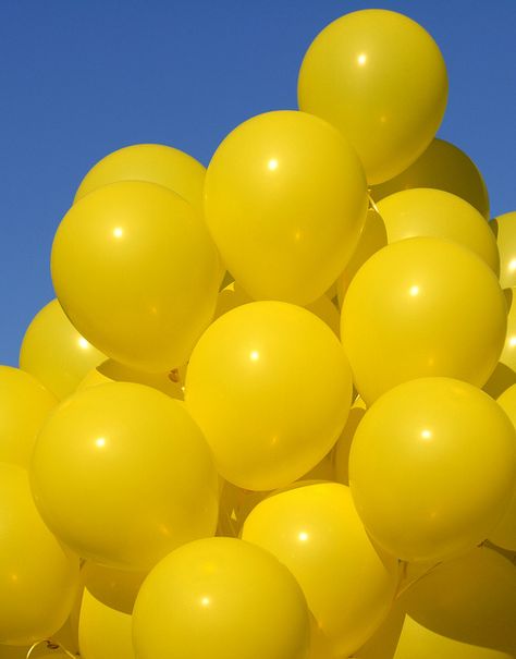 Carry yellow balloons around with me all day, giving them away!!! Yellow Aesthetics, Yellow Photography, Yellow Aesthetic Pastel, Yellow Balloons, Yellow Theme, Nyc Park, 패턴 배경화면, Jaune Orange, Yellow Submarine